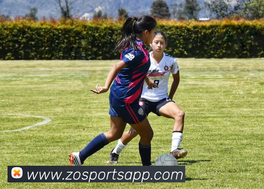 中欧体育平台生态图