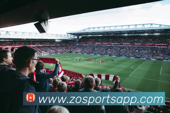 中欧体育APP 封面图