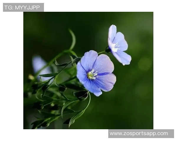 十月庆生，岁月如歌，热爱生活的每一天依然闪耀光芒